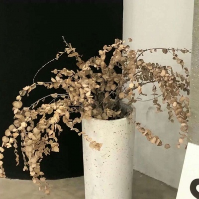 兽设天空场景绘制福瑞交流群